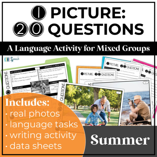 Cover image for 1 picture 20 questions summer product
